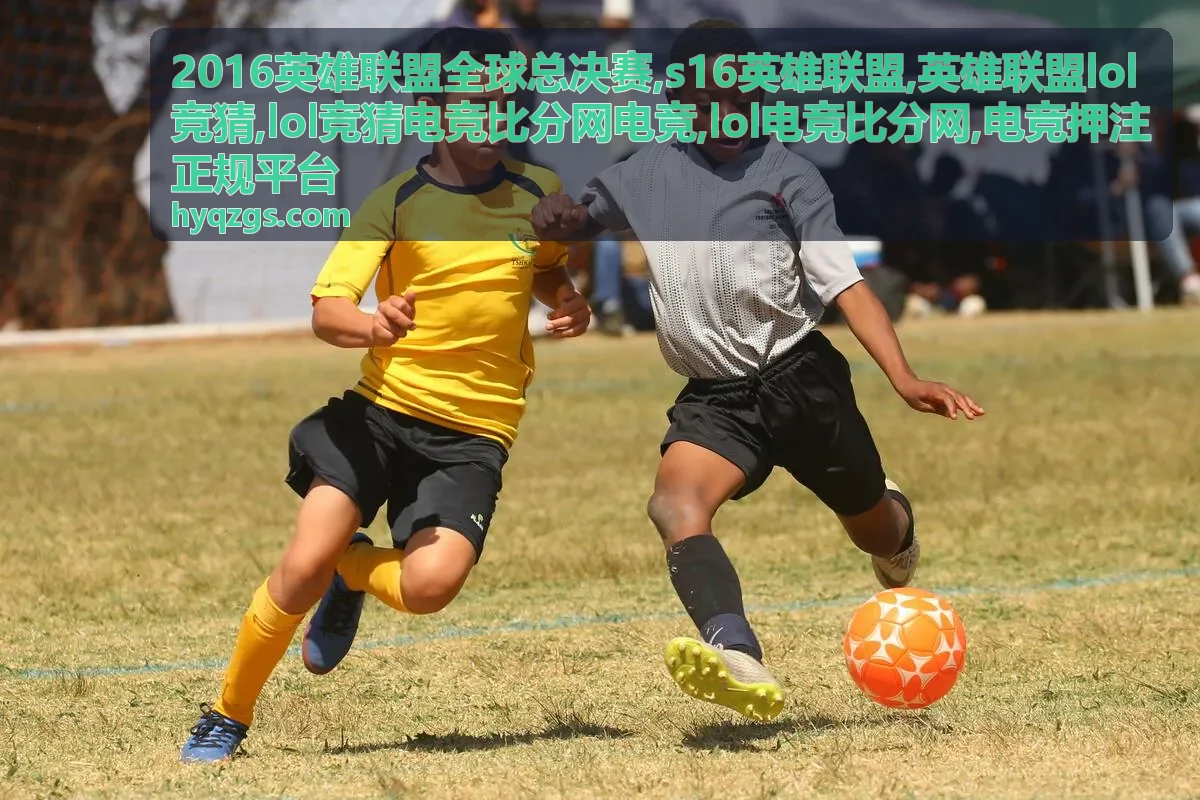 LOL电竞比分网数据阅读